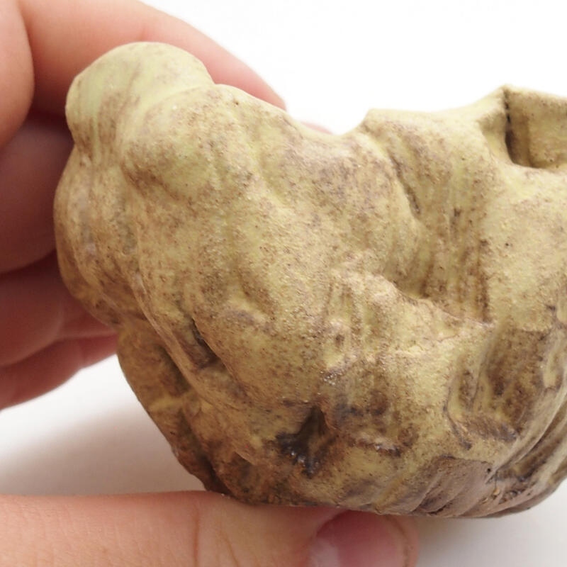 Schelp van keramiek 5 x 5 x 5 cm , kleur groen