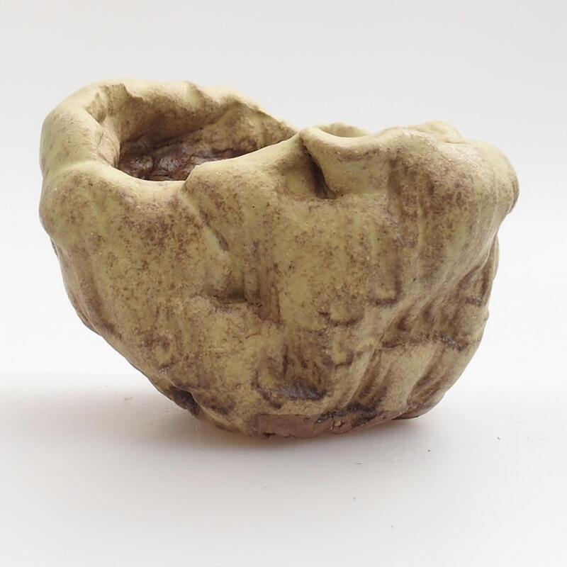 Schelp van keramiek 5 x 5 x 5 cm , kleur groen