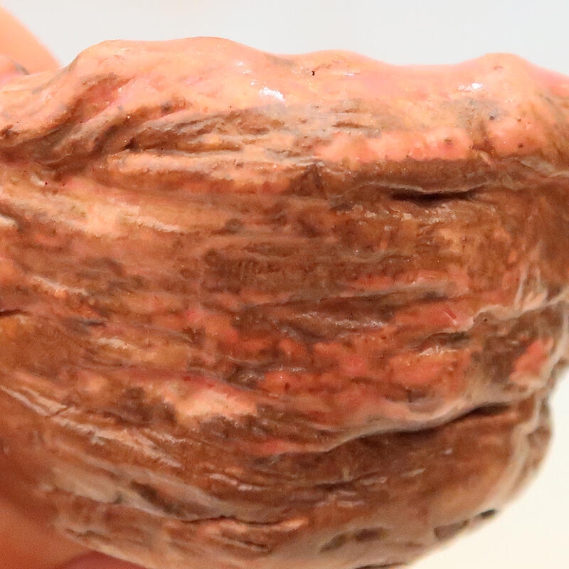 Schelp van keramiek 5 x 5 x 6 cm , kleur roze