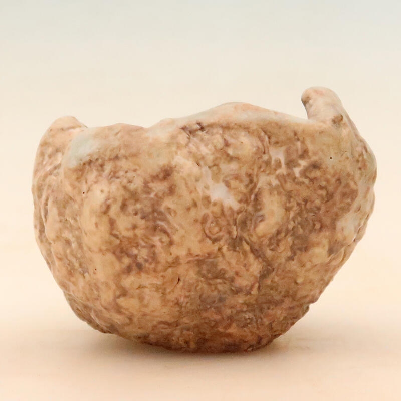 Keramische schelp 5 x 5 x 8 cm , kleur beige