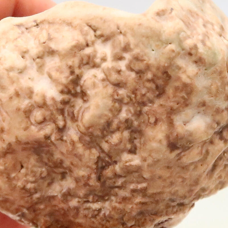 Keramische schelp 5 x 5 x 8 cm , kleur beige