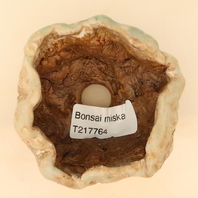 Keramische schelp 5 x 5 x 8 cm , kleur beige