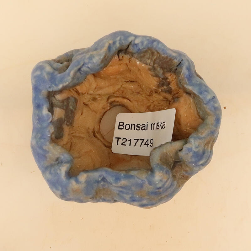 Schelp van keramiek 5 x 5 x 8 cm , kleur blauw