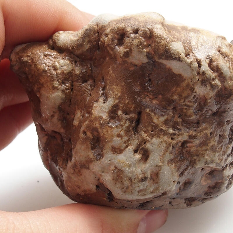 Keramisch Schelp 5 x 6 x 4 cm , kleur groenbruin