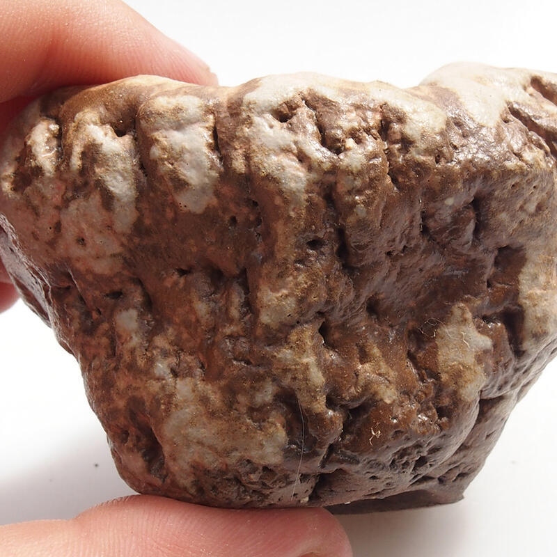 Keramisch Schelp 5 x 6 x 6 cm , kleur groenbruin