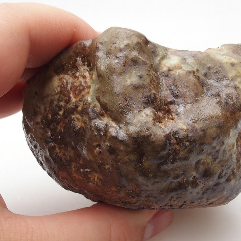 Keramisch Schelp 6,5 x 5 x 5 cm , kleur groenbruin