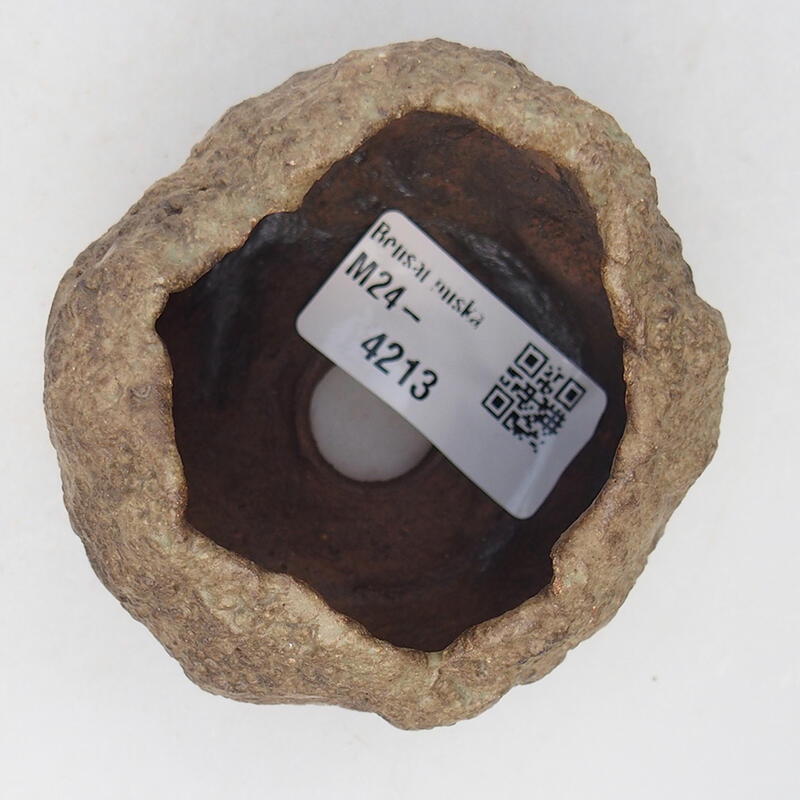 Keramisch Schelp 6,5 x 6,5 x 5,5 cm , kleur beige