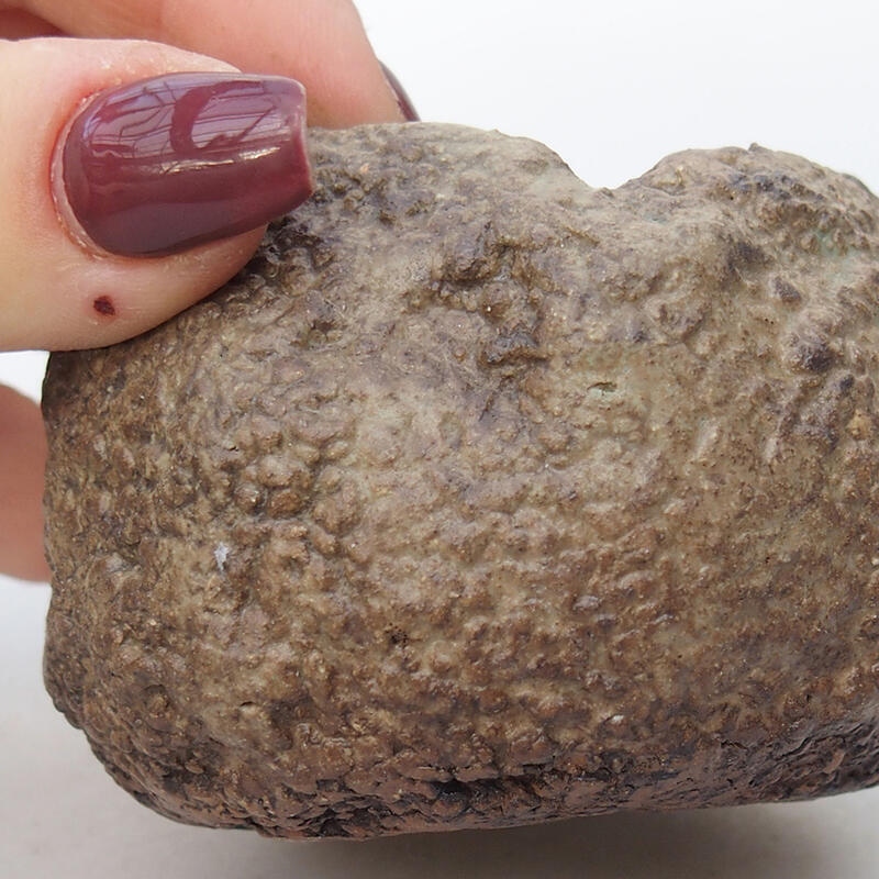 Keramisch Schelp 6,5 x 6,5 x 5,5 cm , kleur beige