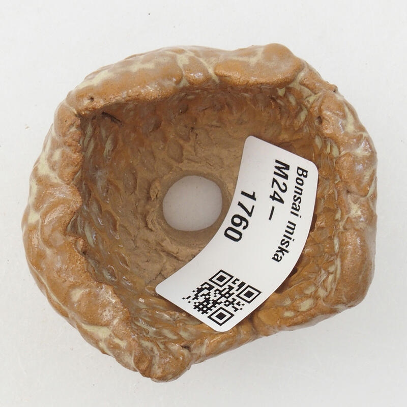 Keramisch Schelp 6 x 5,5 x 4 cm , kleur beige