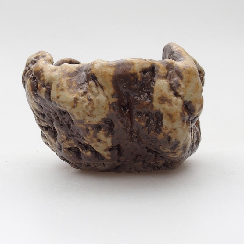 Keramisch Schelp 6 x 5 x 4 cm , kleur wit-bruin