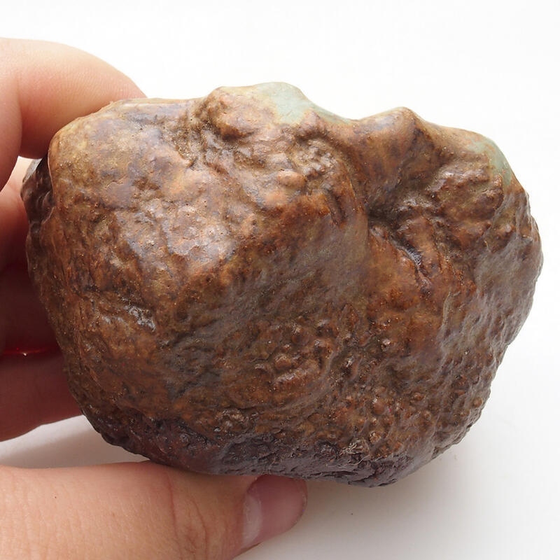 Keramisch Schelp 6 x 5 x 5,5 cm , kleur groenbruin