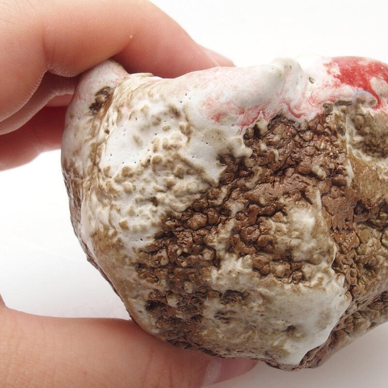 Schelp van keramiek 6 x 5 x 6 cm , kleur rood en wit