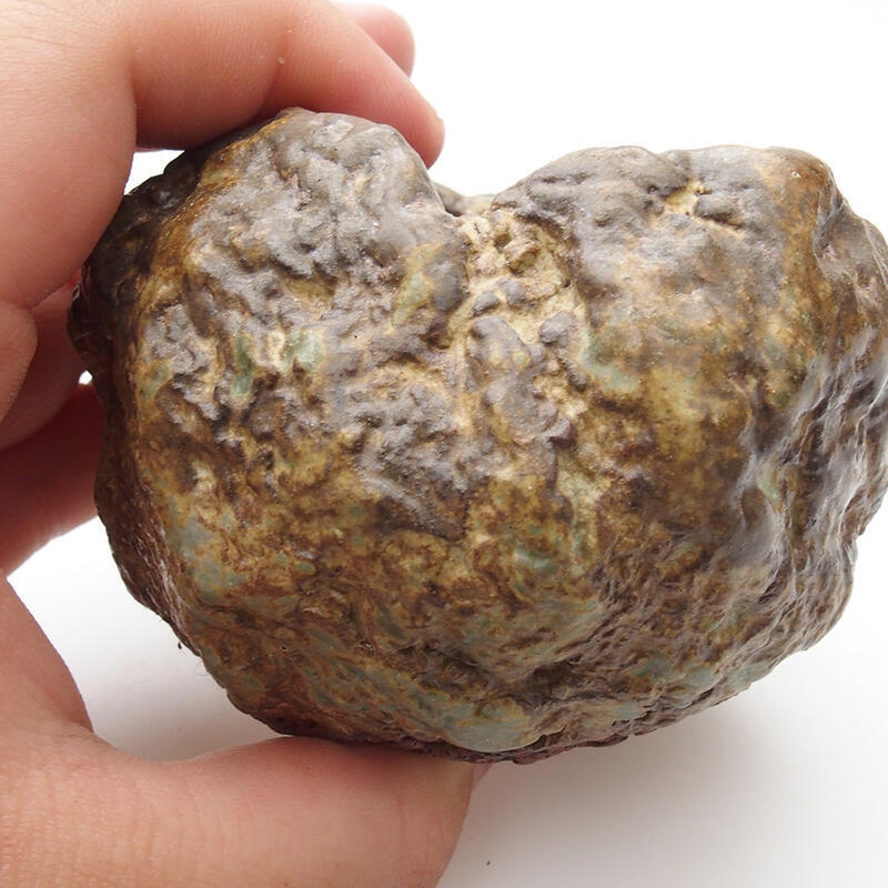 Keramische schelp 6 x 5 x 6 cm , kleur groenbruin