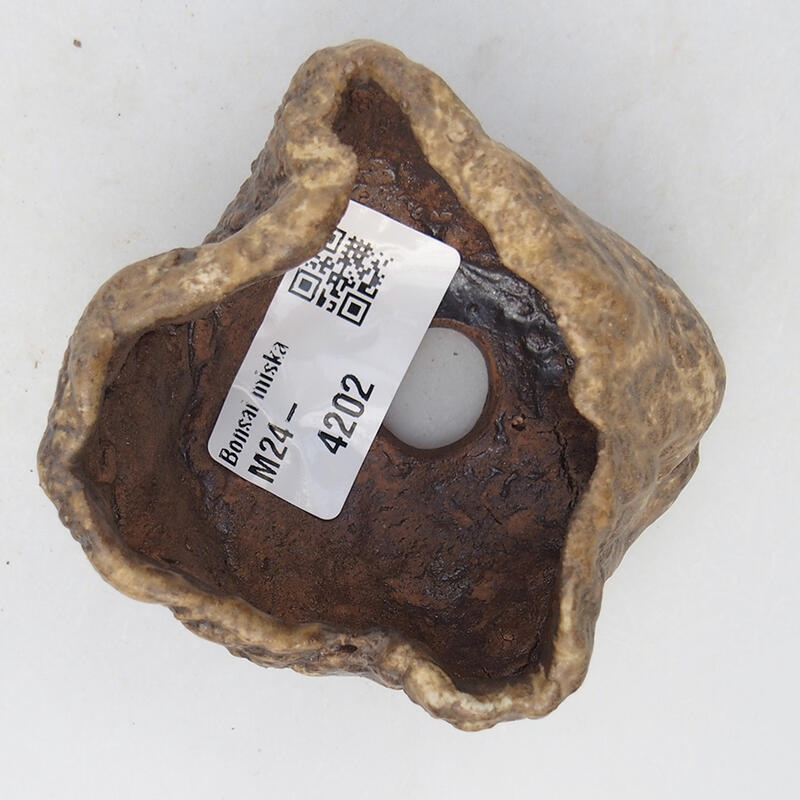 Keramisch Schelp 6 x 6 x 4,5 cm , kleur beige