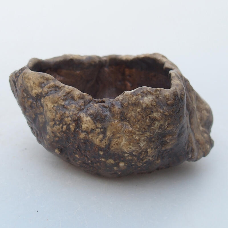 Keramisch Schelp 6 x 6 x 4,5 cm , kleur beige