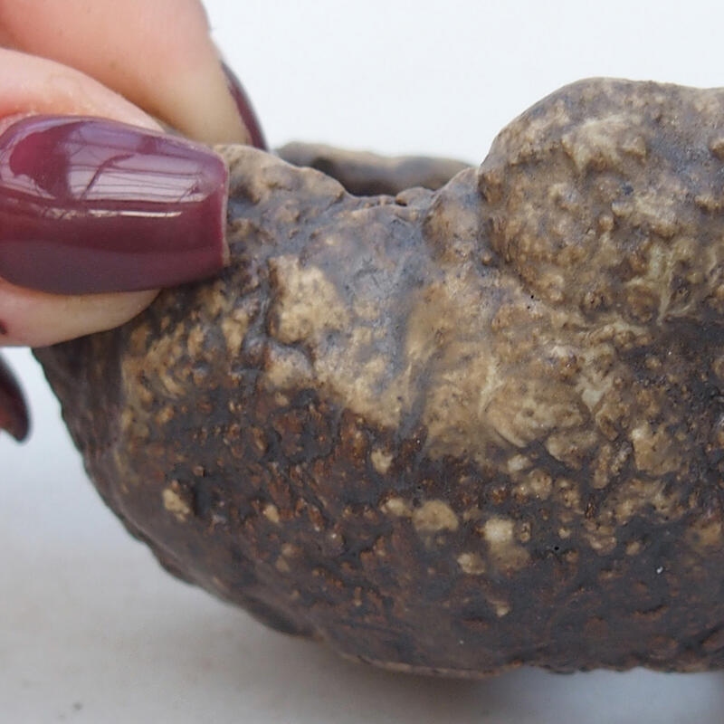 Keramisch Schelp 6 x 6 x 4,5 cm , kleur beige