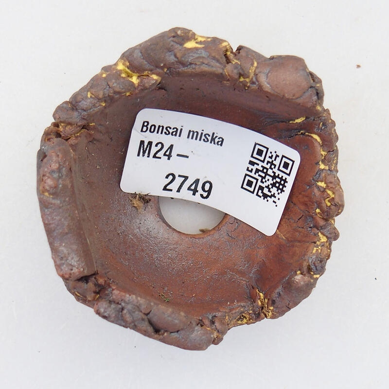 Schelp van keramiek 6 x 6 x 4 cm , geel