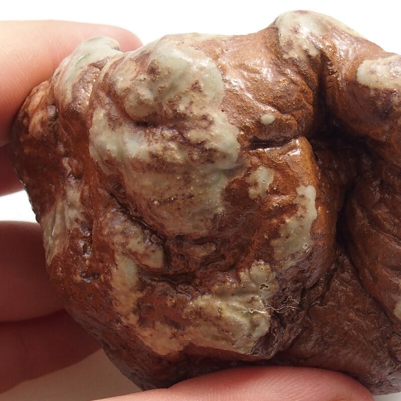 Keramische schelp 6 x 6 x 5 cm , kleur groenbruin