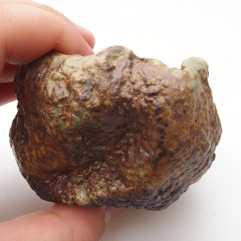 Keramische schelp 6 x 6 x 5 cm , kleur groenbruin