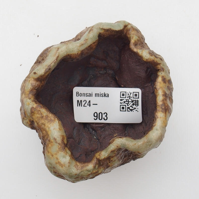 Keramische schelp 6 x 6 x 5 cm , kleur groenbruin