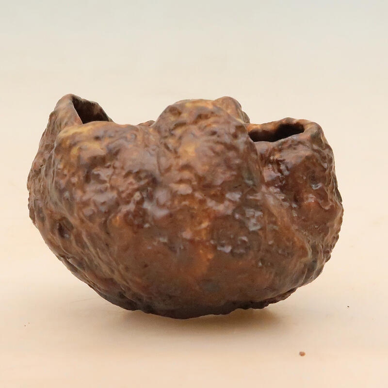 Keramische schelp 6 x 6 x 8 cm , kleur bruin