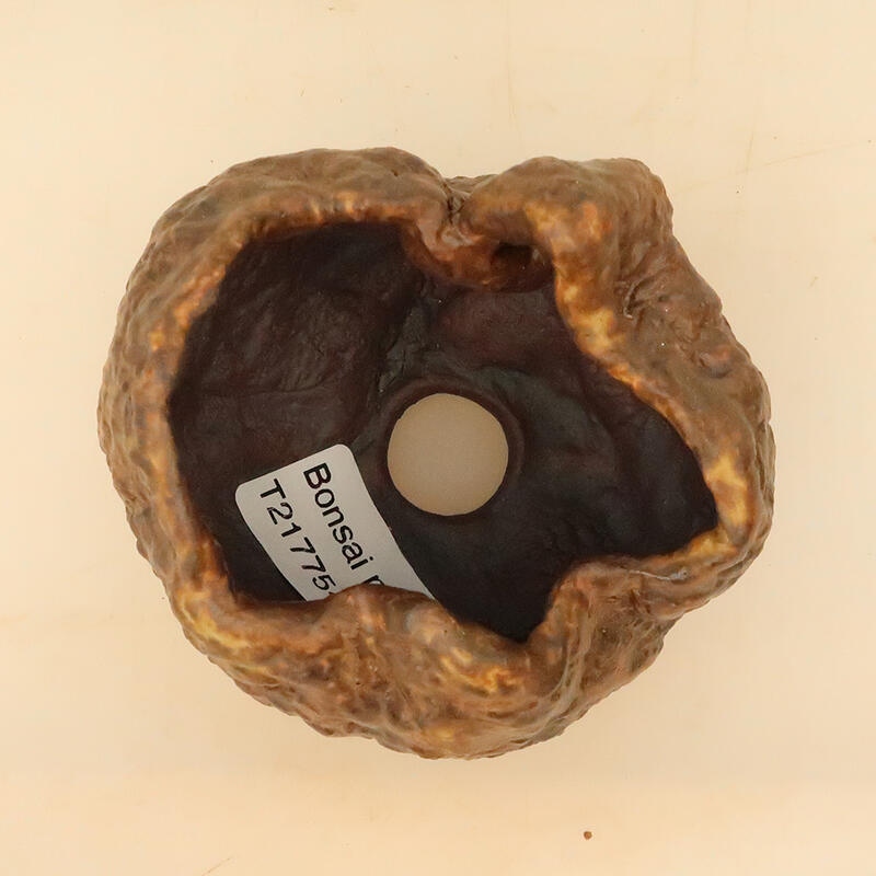 Keramische schelp 6 x 6 x 8 cm , kleur bruin