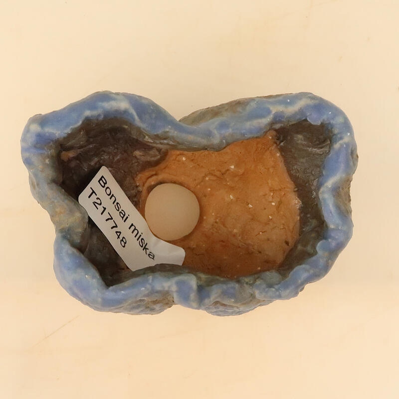 Schelp van keramiek 6 x 6 x 9 cm , kleur blauw