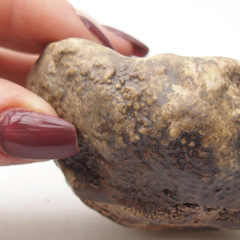 Keramisch Schelp 7,5 x 6,5 x 4,5 cm , kleur bruin