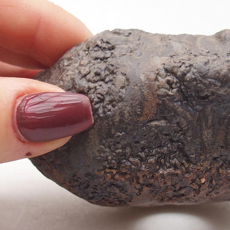 Keramisch Schelp 7,5 x 6,5 x 5,5 cm , kleur bruin