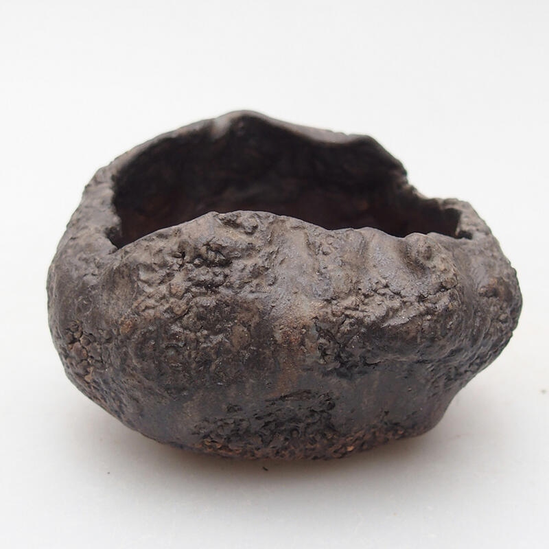 Keramisch Schelp 7,5 x 6,5 x 5,5 cm , kleur bruin