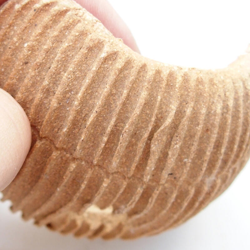 Keramische schaal 7,5 x 7,5 x 4 cm , kleur zwart