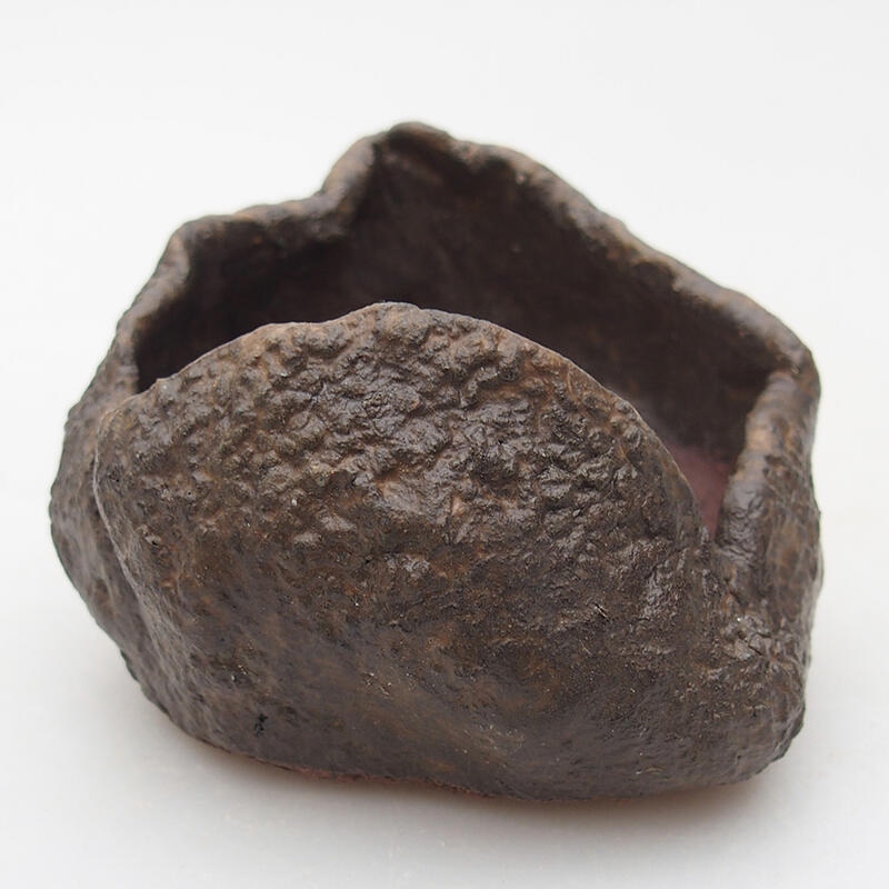 Keramisch Schelp 7,5 x 7,5 x 6 cm , kleur bruin