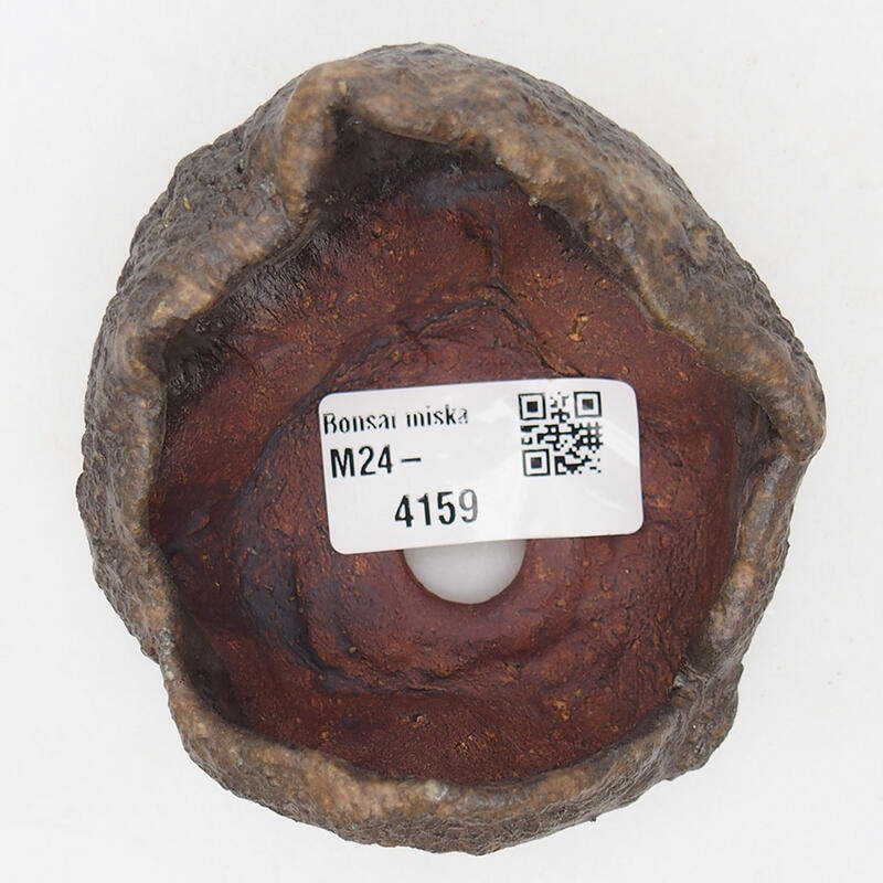 Keramisch Schelp 7,5 x 7,5 x 6 cm , kleur bruin