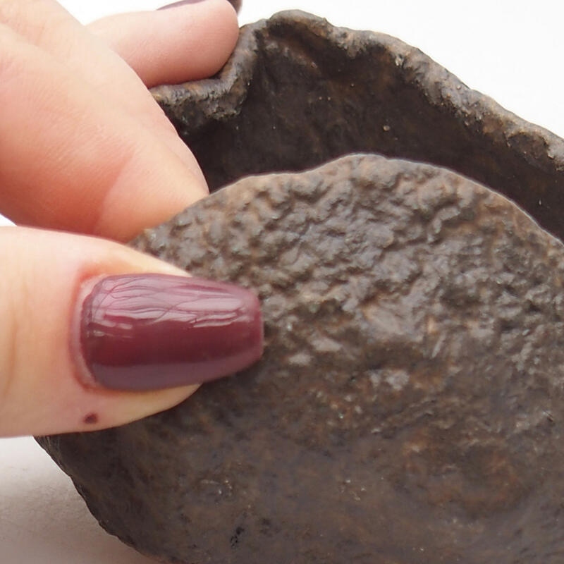 Keramisch Schelp 7,5 x 7,5 x 6 cm , kleur bruin