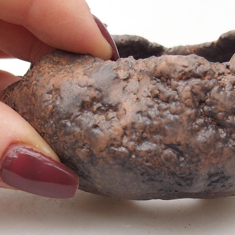 Keramisch Schelp 7,5 x 7 x 4,5 cm , kleur bruin