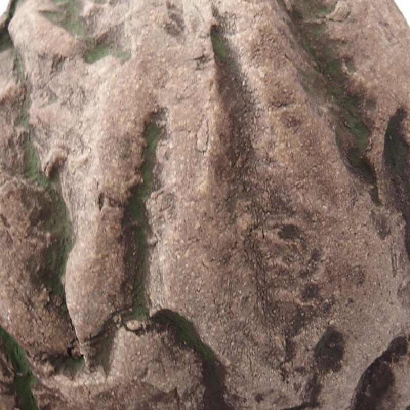 Schelp van keramiek 7,5 x 7 x 5 cm , kleur groen