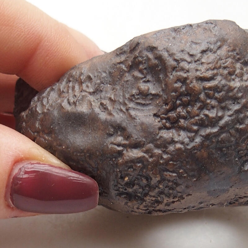 Keramisch Schelp 7 x 6,5 x 4 cm , kleur bruin