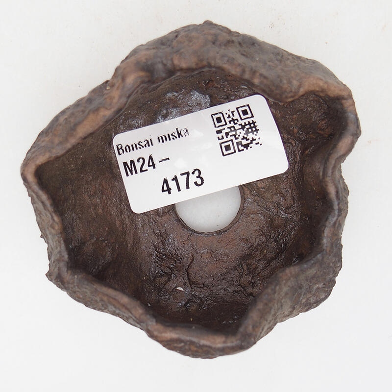 Keramisch Schelp 7 x 6,5 x 4 cm , kleur bruin