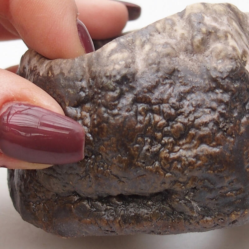 Keramisch Schelp 7 x 6,5 x 4 cm , kleur bruin