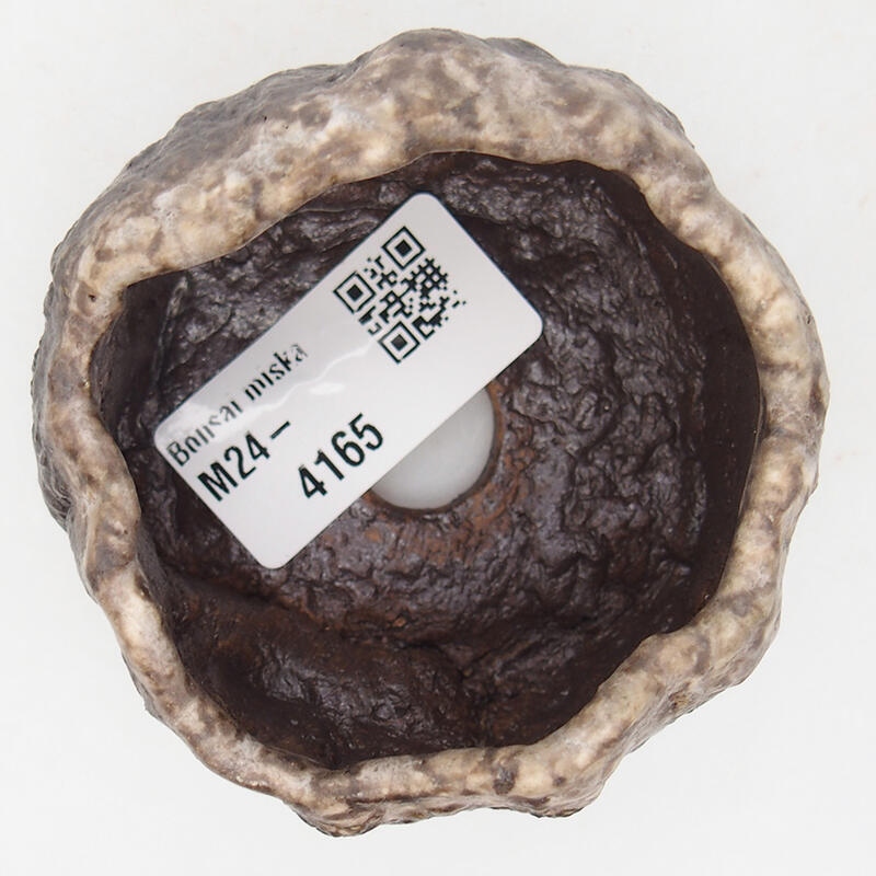 Keramisch Schelp 7 x 6,5 x 4 cm , kleur bruin