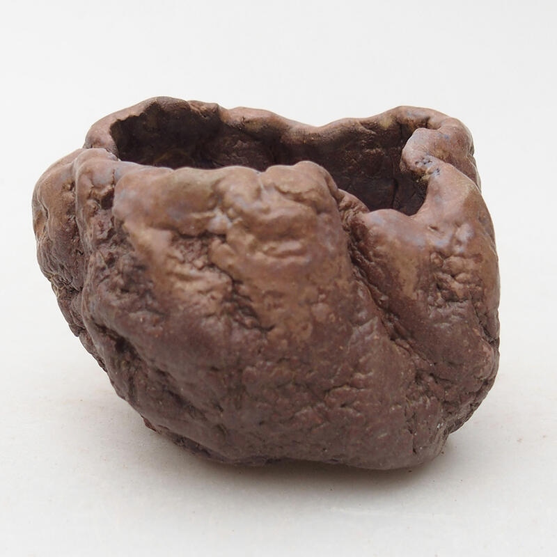 Keramisch Schelp 7 x 6,5 x 5,5 cm , kleur bruin