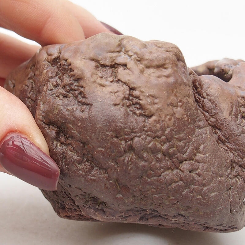 Keramisch Schelp 7 x 6,5 x 5,5 cm , kleur bruin