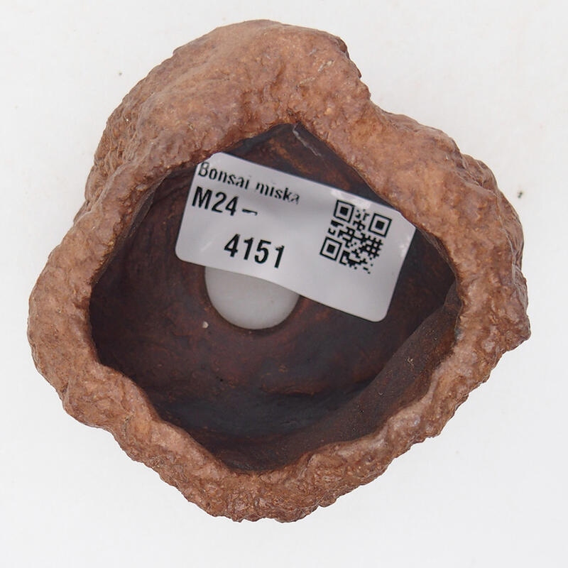 Keramisch Schelp 7 x 6,5 x 5,5 cm , kleur bruin