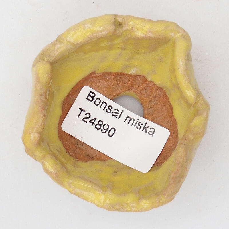 Schelp van keramiek 7 x 6 x 3,5 cm , geel