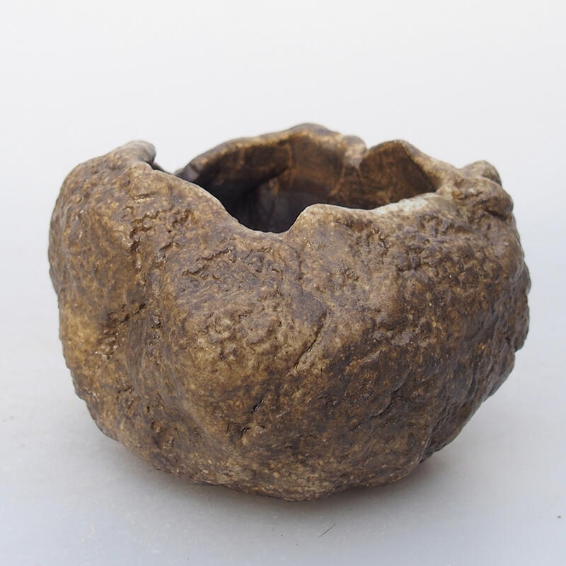 Keramisch Schelp 7 x 6 x 5,5 cm , kleur beige