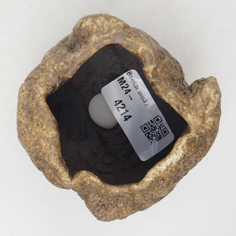 Keramisch Schelp 7 x 6 x 5,5 cm , kleur beige