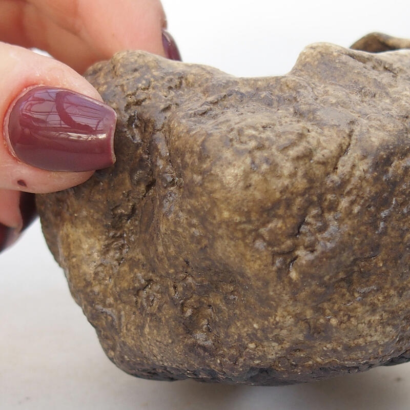 Keramisch Schelp 7 x 6 x 5,5 cm , kleur beige