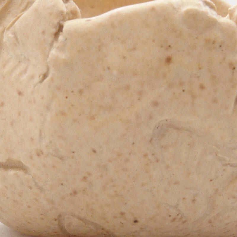 Keramisch Schelp 7 x 6 x 6 cm , kleur beige