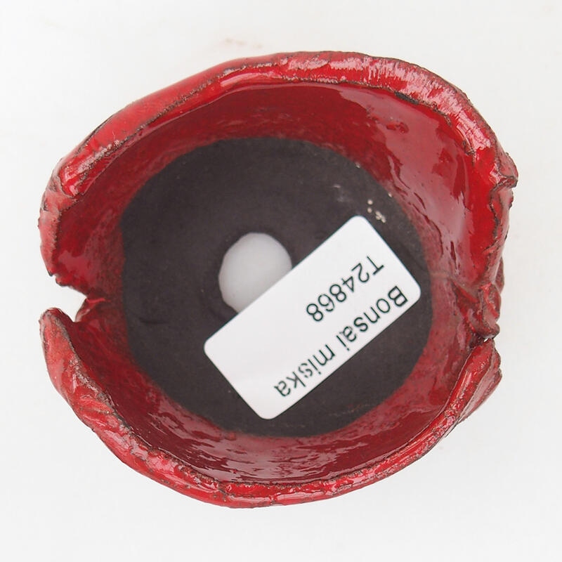 Schelp van keramiek 7 x 7 x 4,5 cm , kleur rood