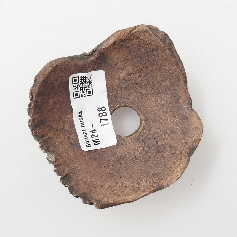 Keramische schelp 7 x 7 x 4 cm , kleur groen